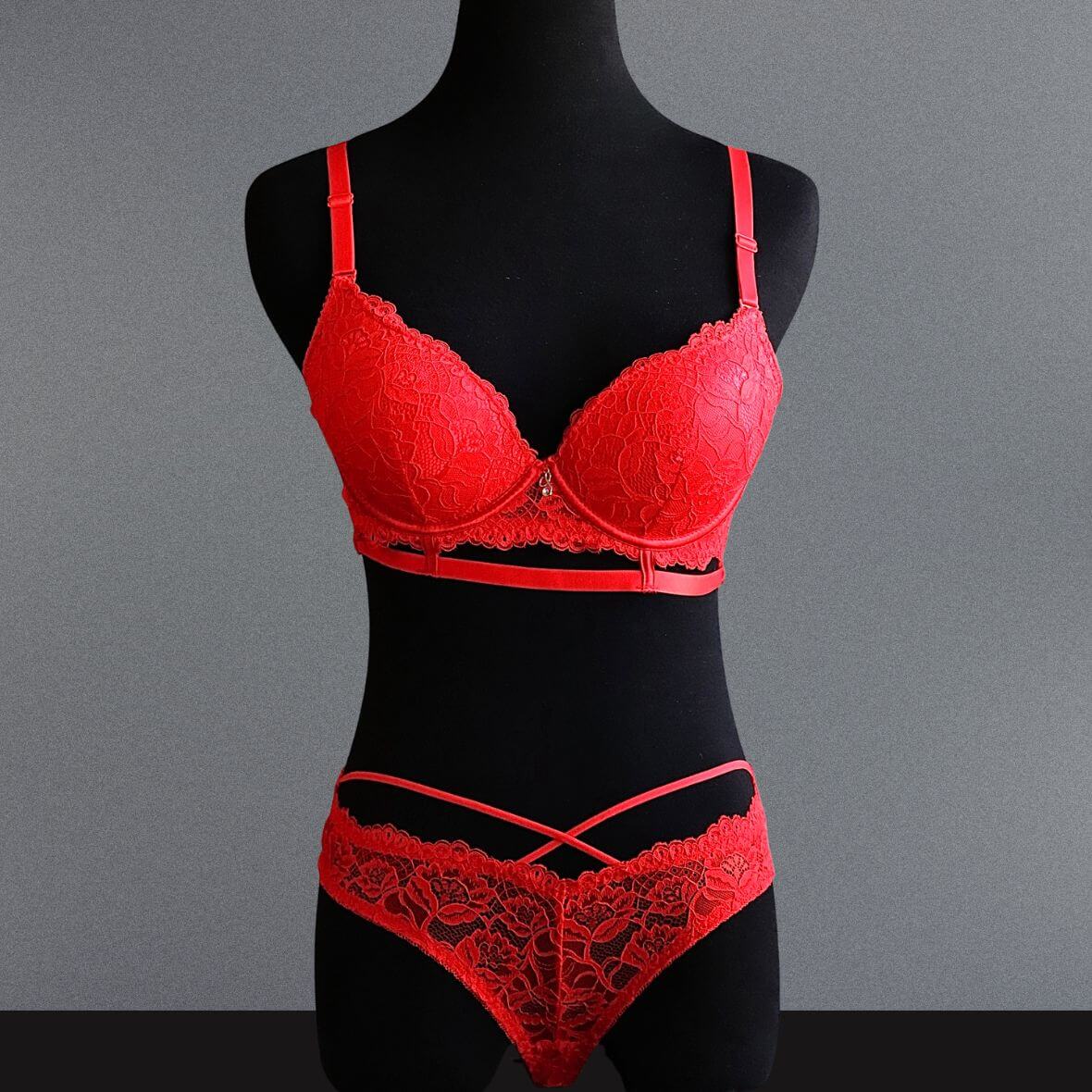 Premium Lace Pushup Bra Set