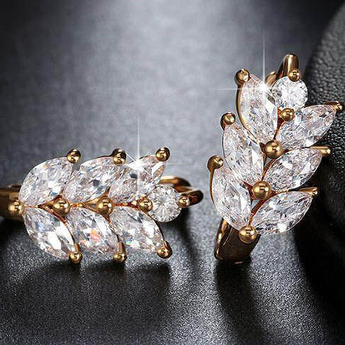 Fashion Leaf Shape Earrings