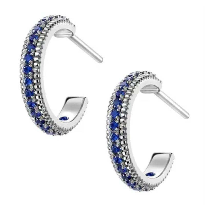 Blue Rhinestones CZ Hoop Earrings
