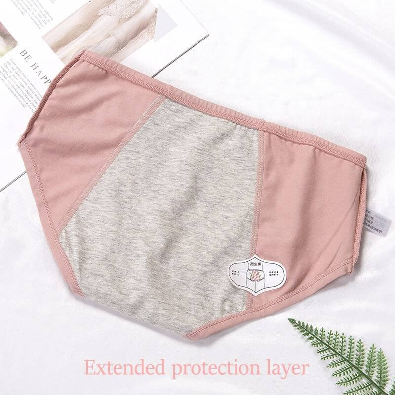 Pack Of 2 Period Panty-Large (Pink, Skin)