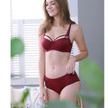 Everyday Wear Wired Pushup Bra Set