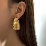 Hiphop Chunky Hoop Earrings