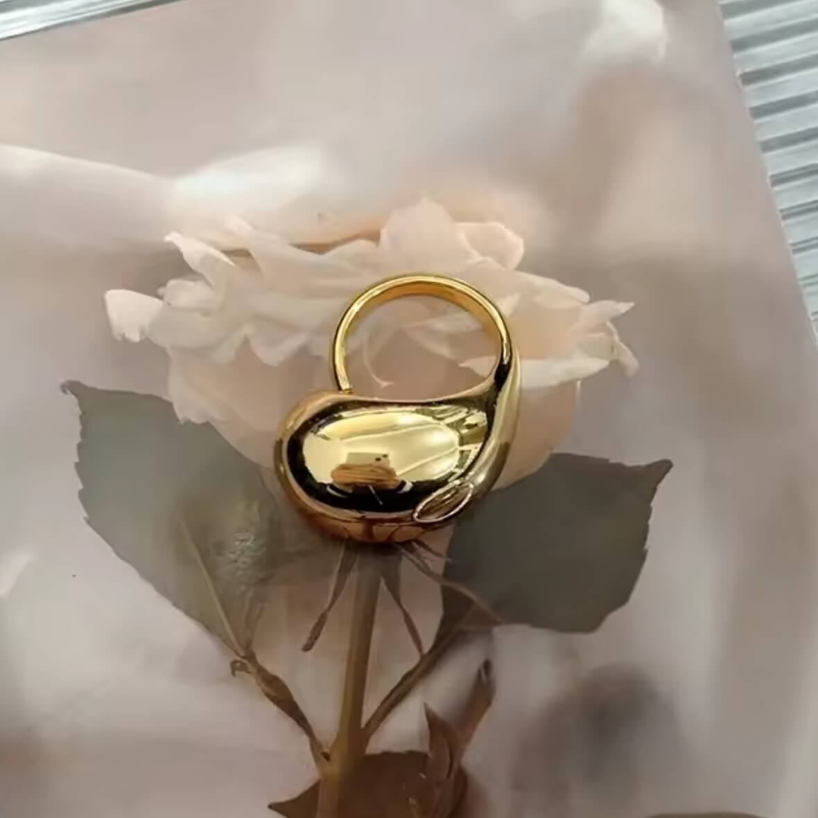 Stainless Steel Metalix Ring